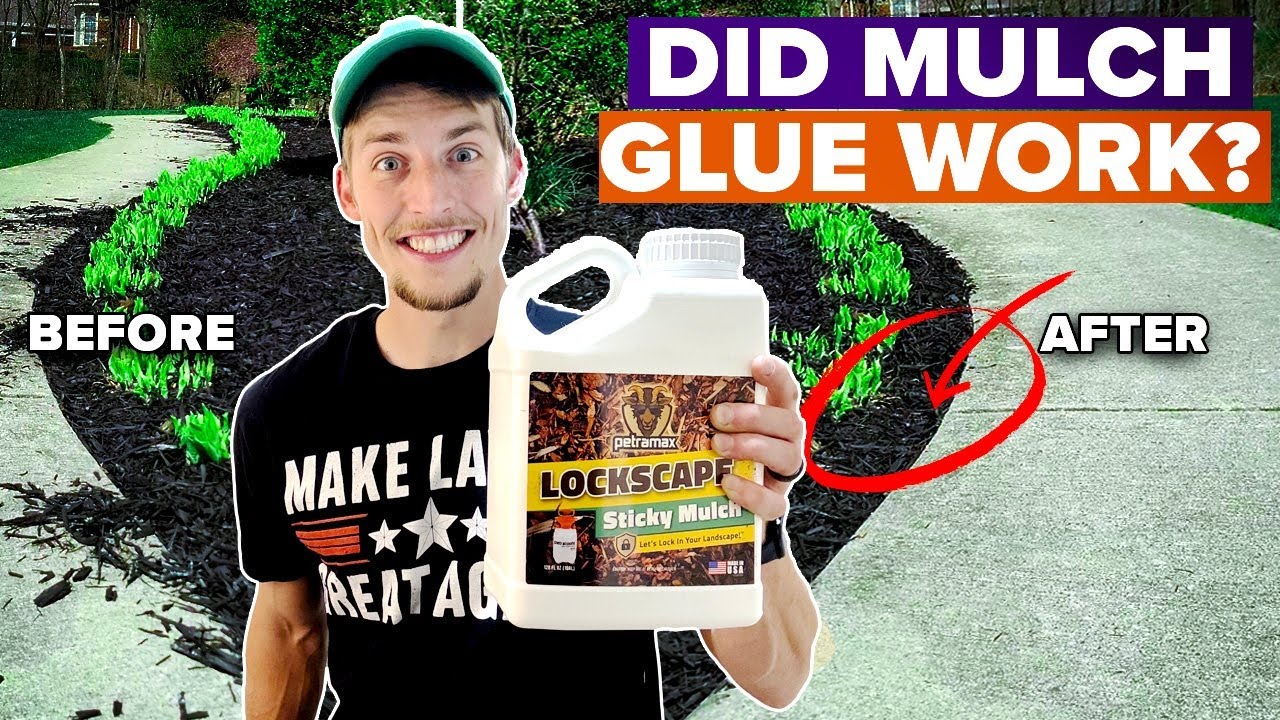 adhesive sticky